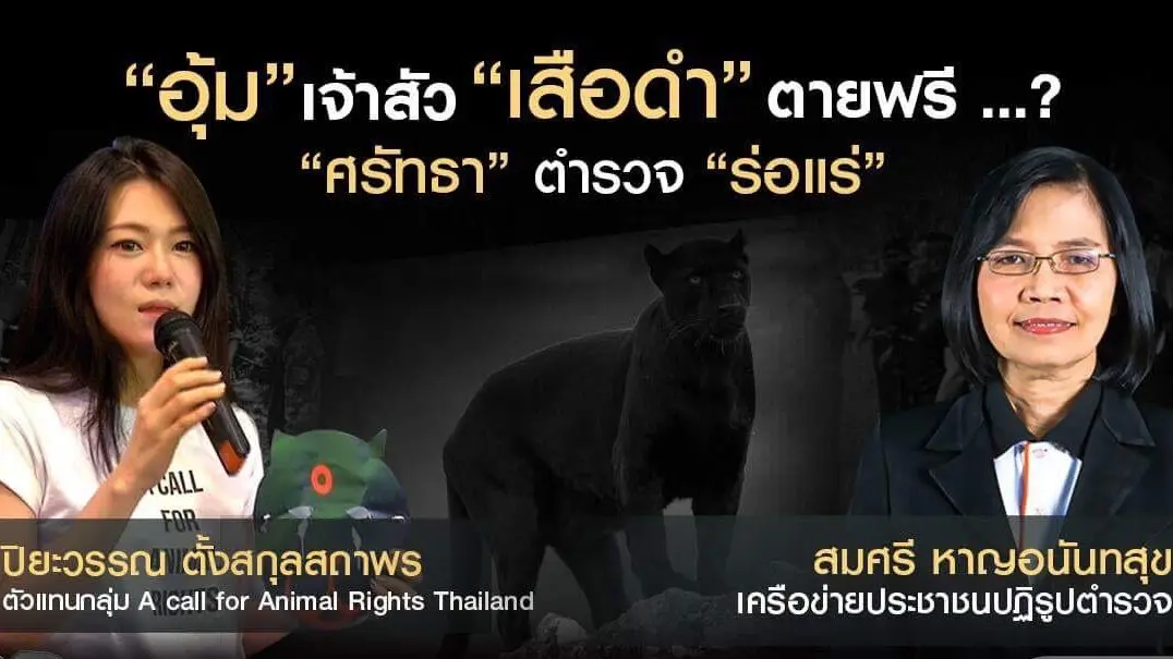 “อุ้ม” เจ้าสัว “เสือดำ” ตายฟรี...? “ศรัทธา” ตำรวจ “ร่อแร่”