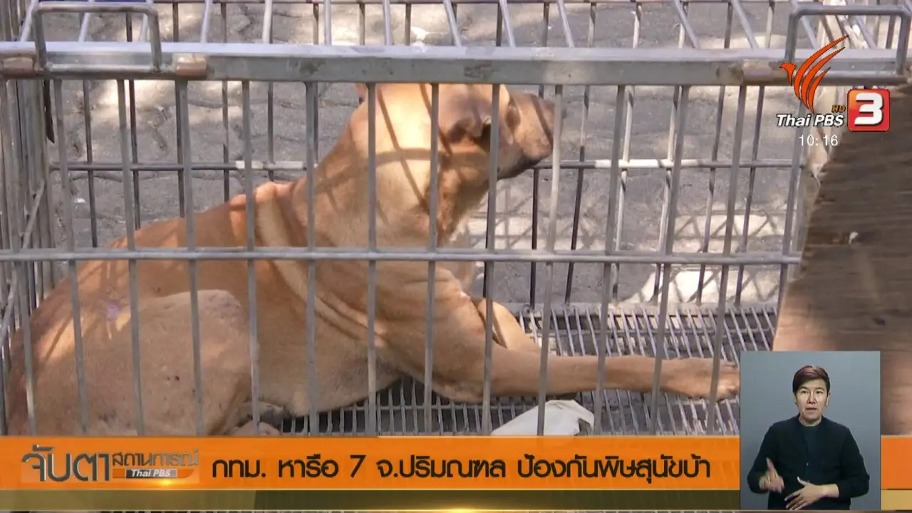 ประเด็นข่าว (21 มี.ค. 61)