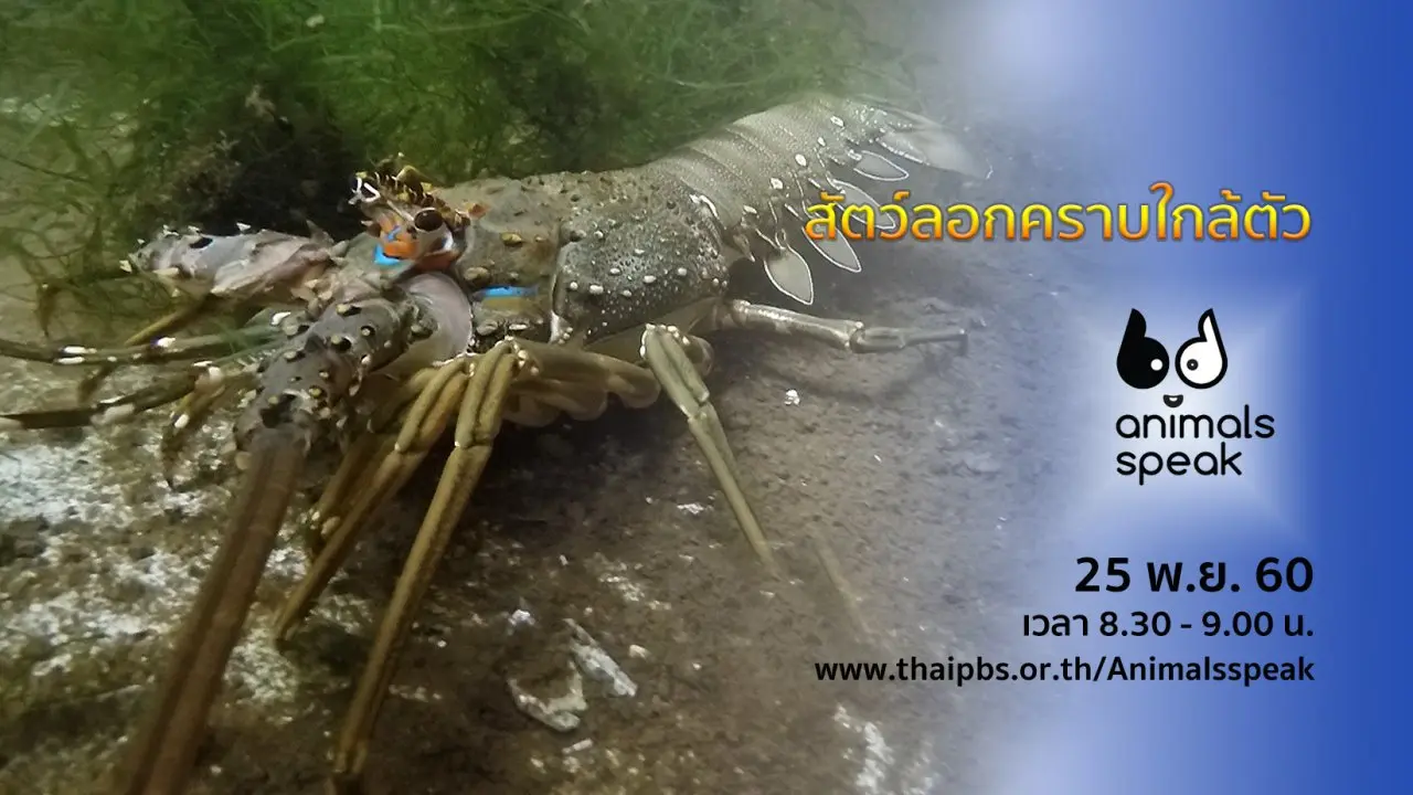 สัตว์ลอกคราบใกล้ตัว