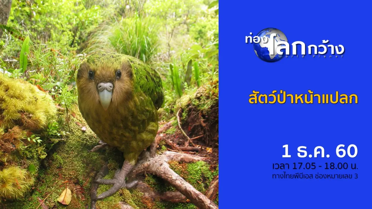สัตว์ป่าหน้าแปลก