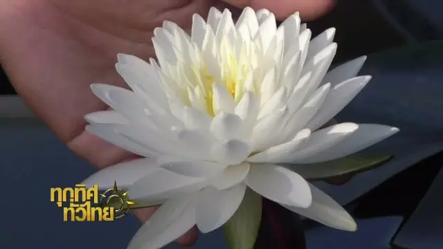 ประเด็นข่าว (6 ธ.ค. 60)