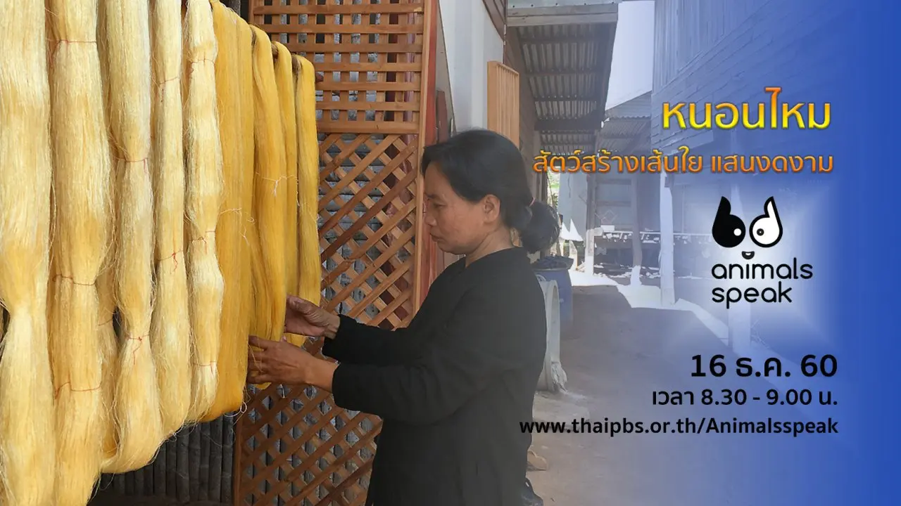 หนอนไหม สัตว์สร้างเส้นใย แสนงดงาม