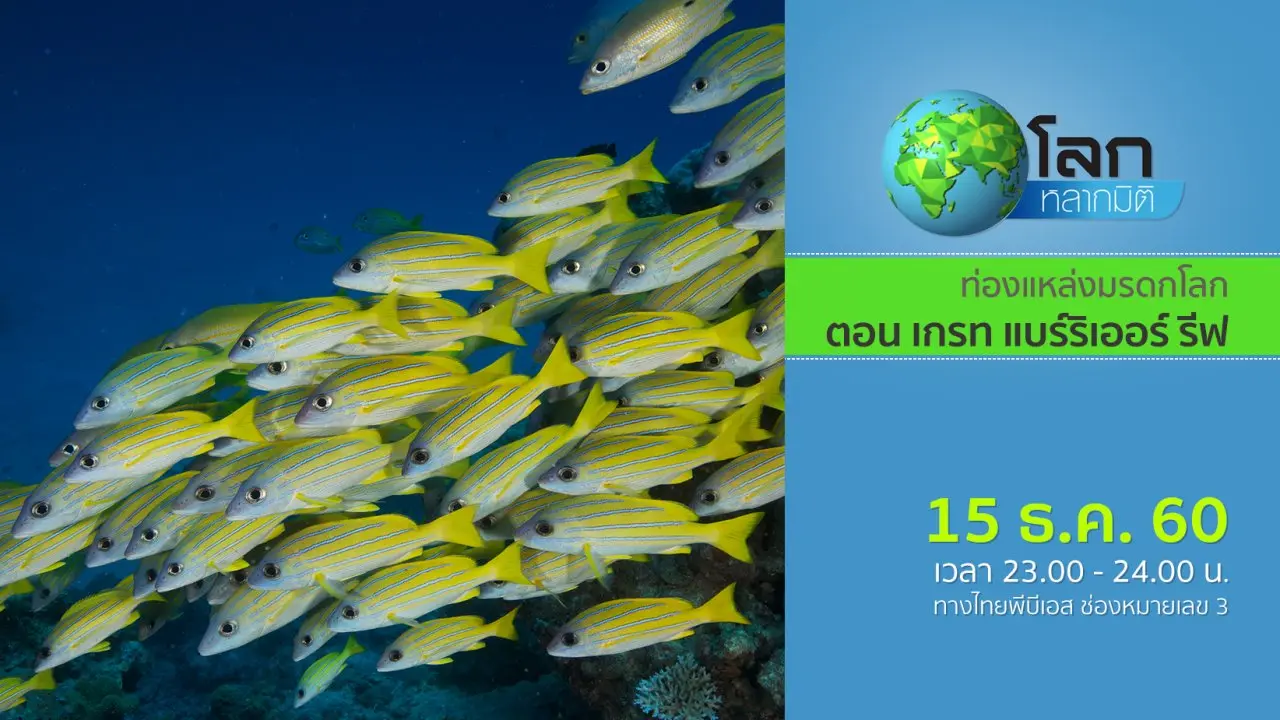 ท่องแหล่งมรดกโลก ตอน เกรท แบร์ริเออร์ รีฟ