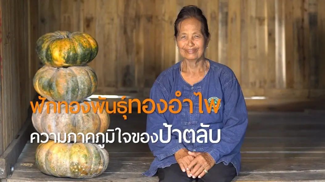 ป้าตลับกับฟักทองยักษ์/มะปรางริ้วลอยแก้ว