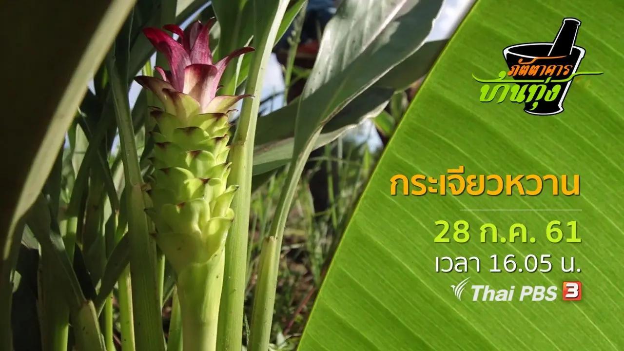 กระเจียวหวาน