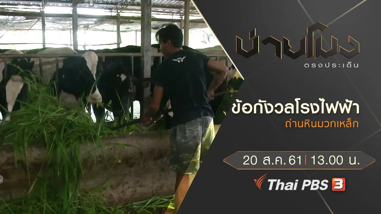 ประเด็นข่าว ( 20 ส.ค. 61)