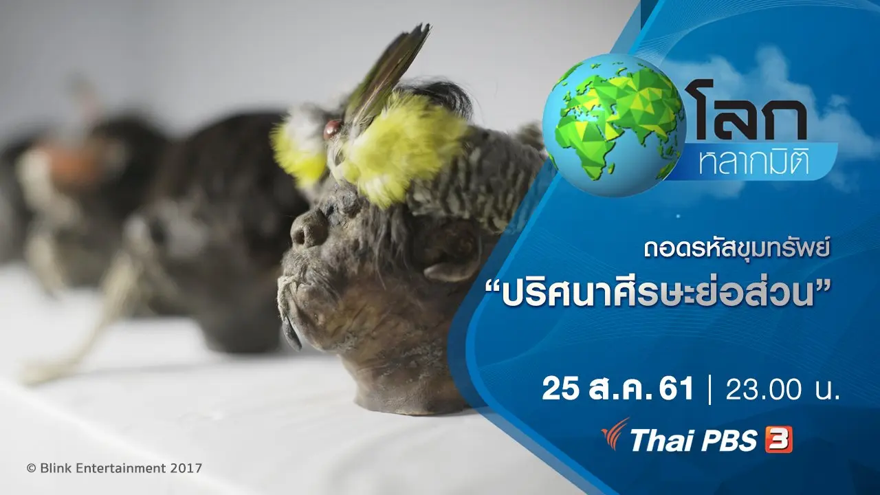 ถอดรหัสขุมทรัพย์ ตอน ปริศนาศีรษะย่อส่วน