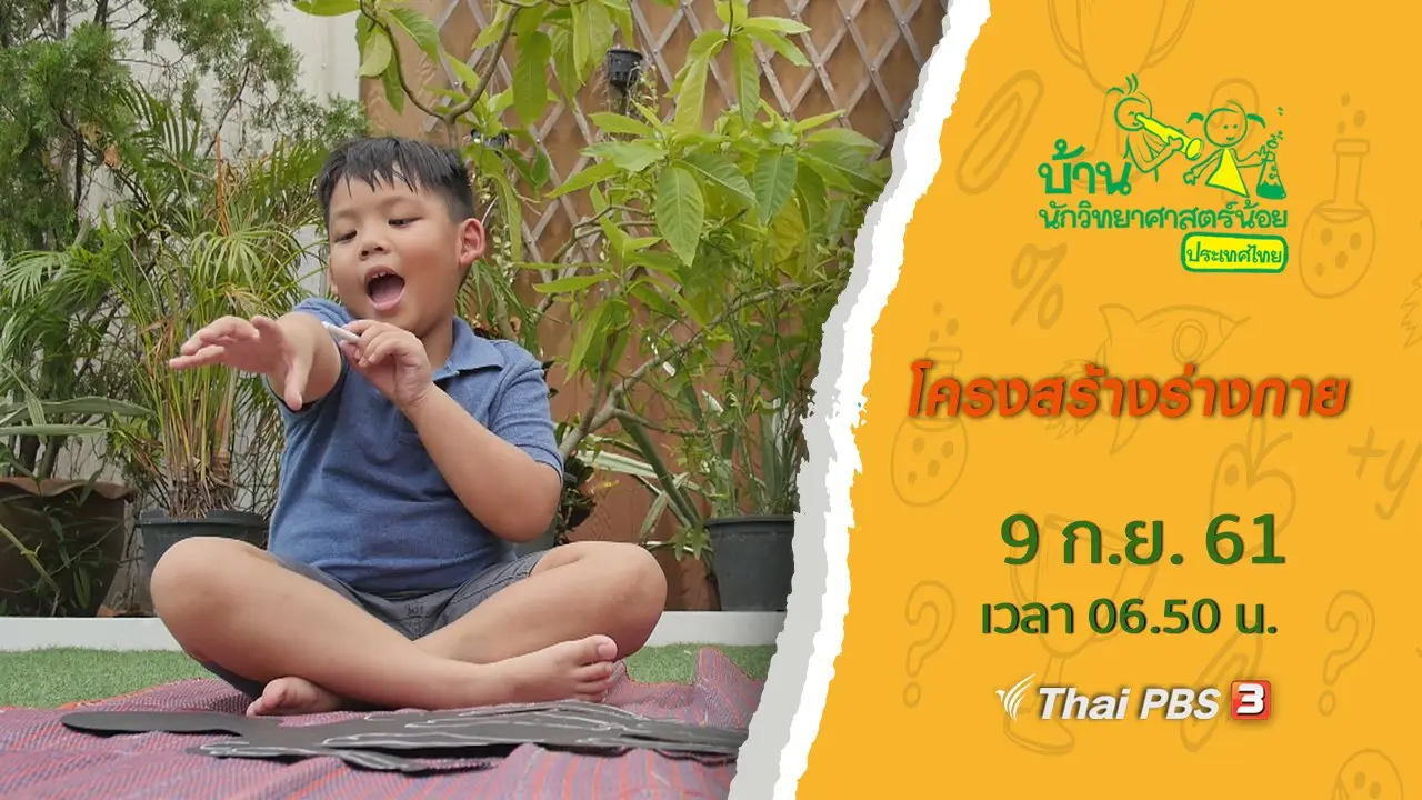 โครงสร้างร่างกาย