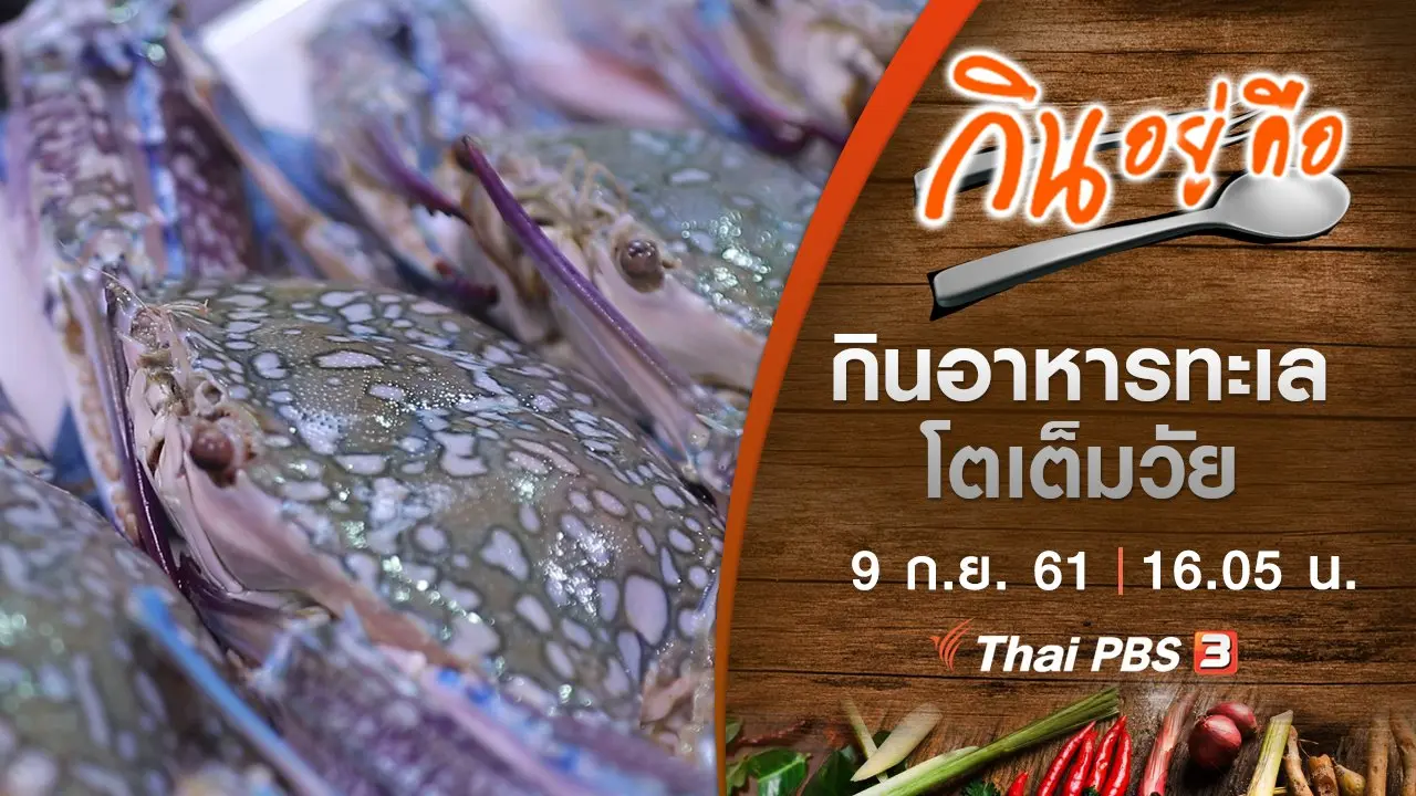 กินอาหารทะเลโตเต็มวัย