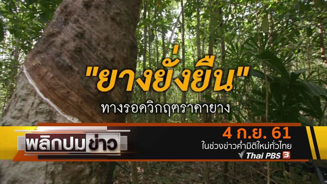 ยางยั่งยืน ทางรอดวิกฤตราคายาง