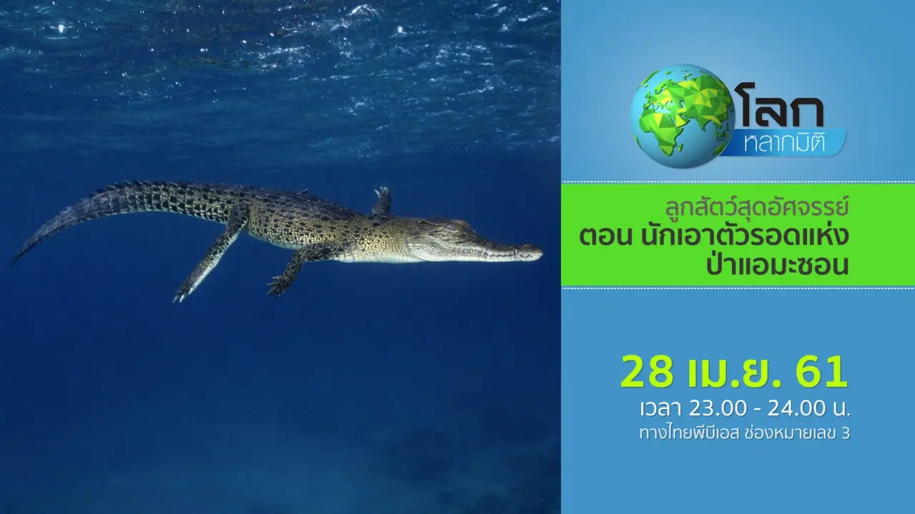 ลูกสัตว์สุดอัศจรรย์ ตอน นักเอาตัวรอดแห่งป่าแอมะซอน