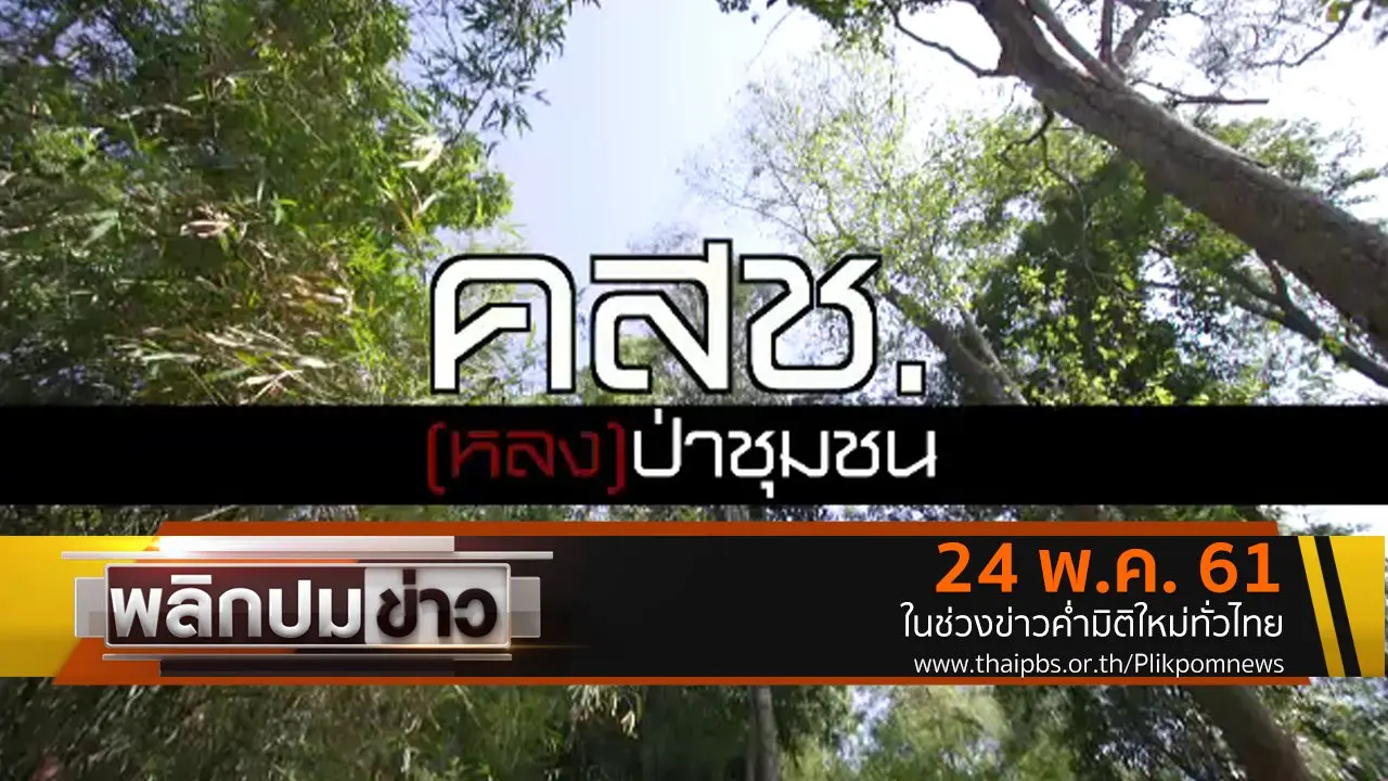 คสช. (หลง) ป่าชุมชน