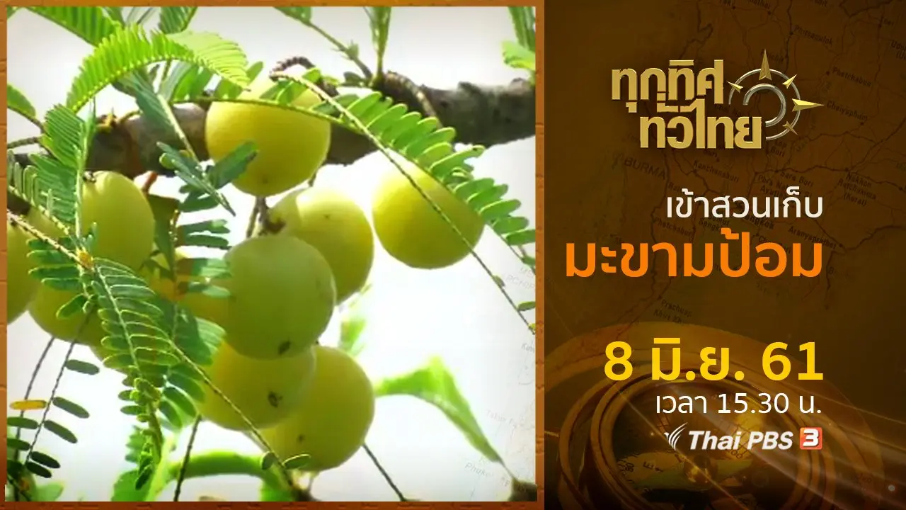 ประเด็นข่าว ( 8 มิ.ย. 61)