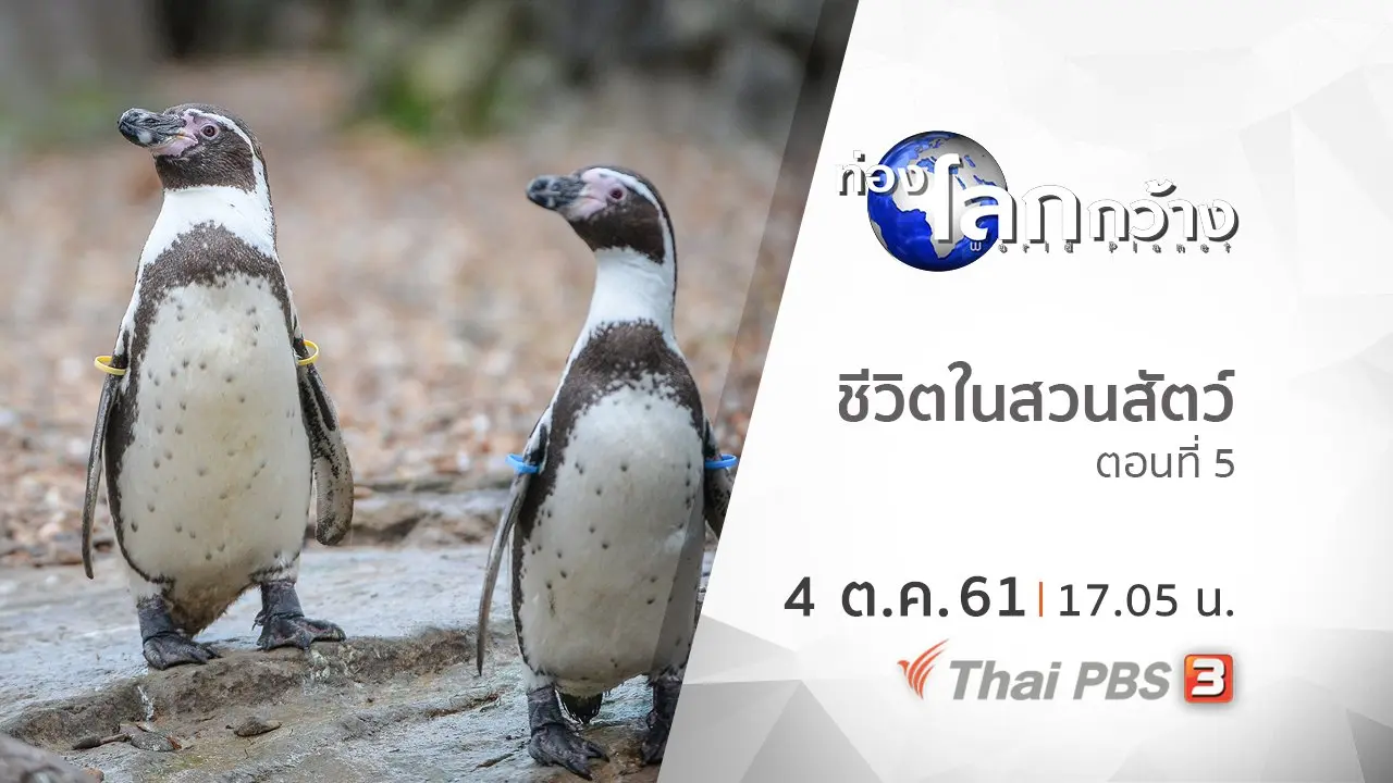 ชีวิตในสวนสัตว์ ตอนที่ 5