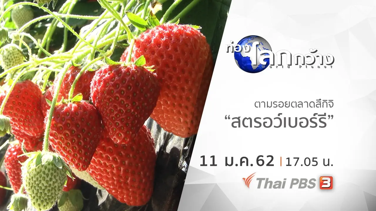ตามรอยตลาดสึกิจิ ตอน สตรอว์เบอร์รี