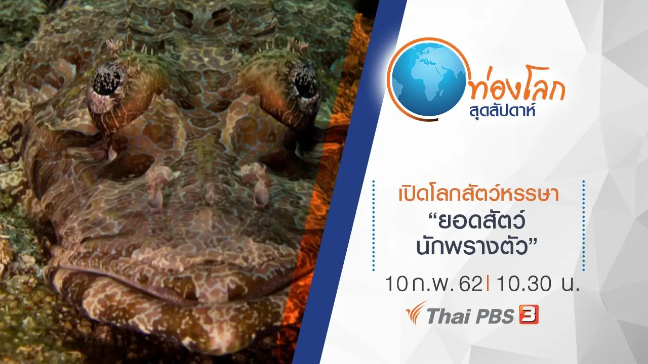 เปิดโลกสัตว์หรรษา ตอน ยอดสัตว์นักพรางตัว