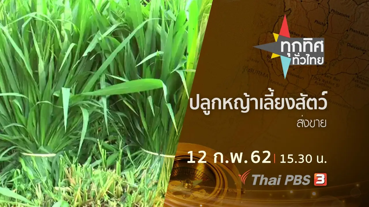 ประเด็นข่าว (12 ก.พ.62)