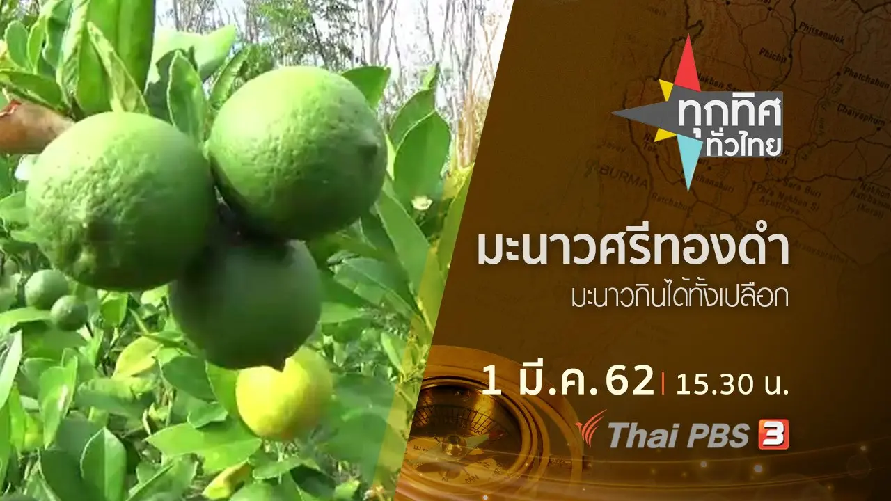 ประเด็นข่าว (1 มี.ค. 62)