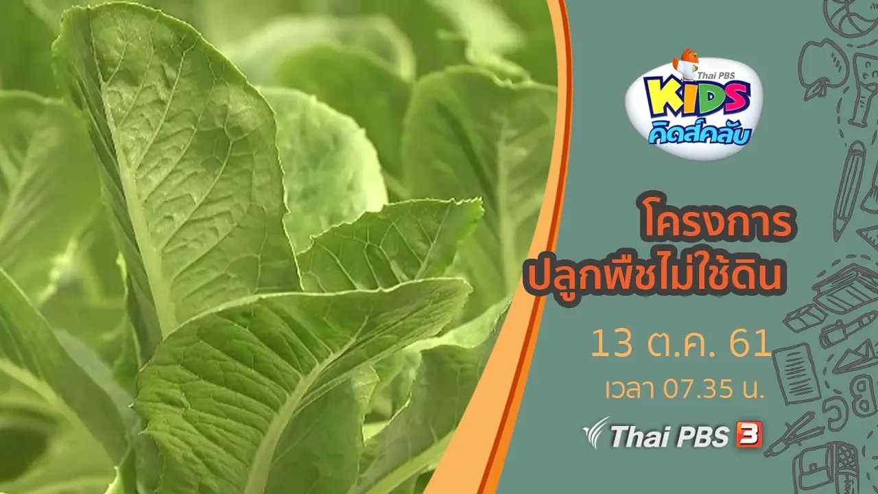 โครงการปลูกพืชไม่ใช้ดิน