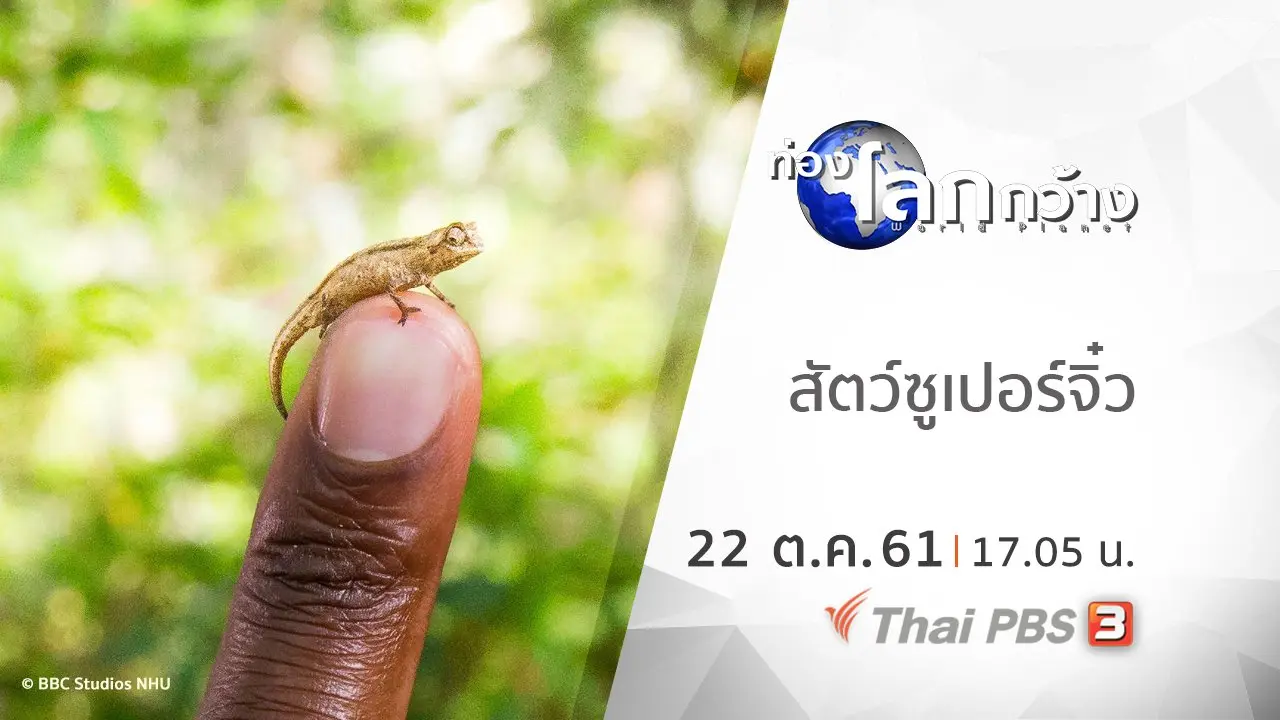 สัตว์ซูเปอร์จิ๋ว