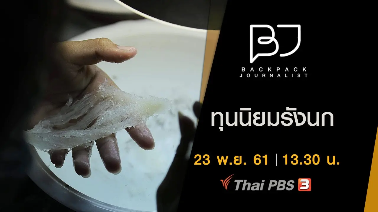 ทุนนิยมรังนก