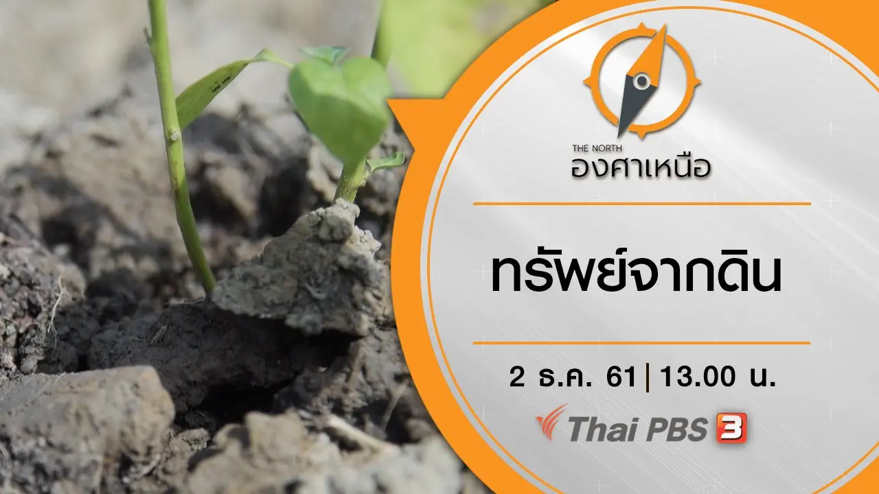 ทรัพย์จากดิน