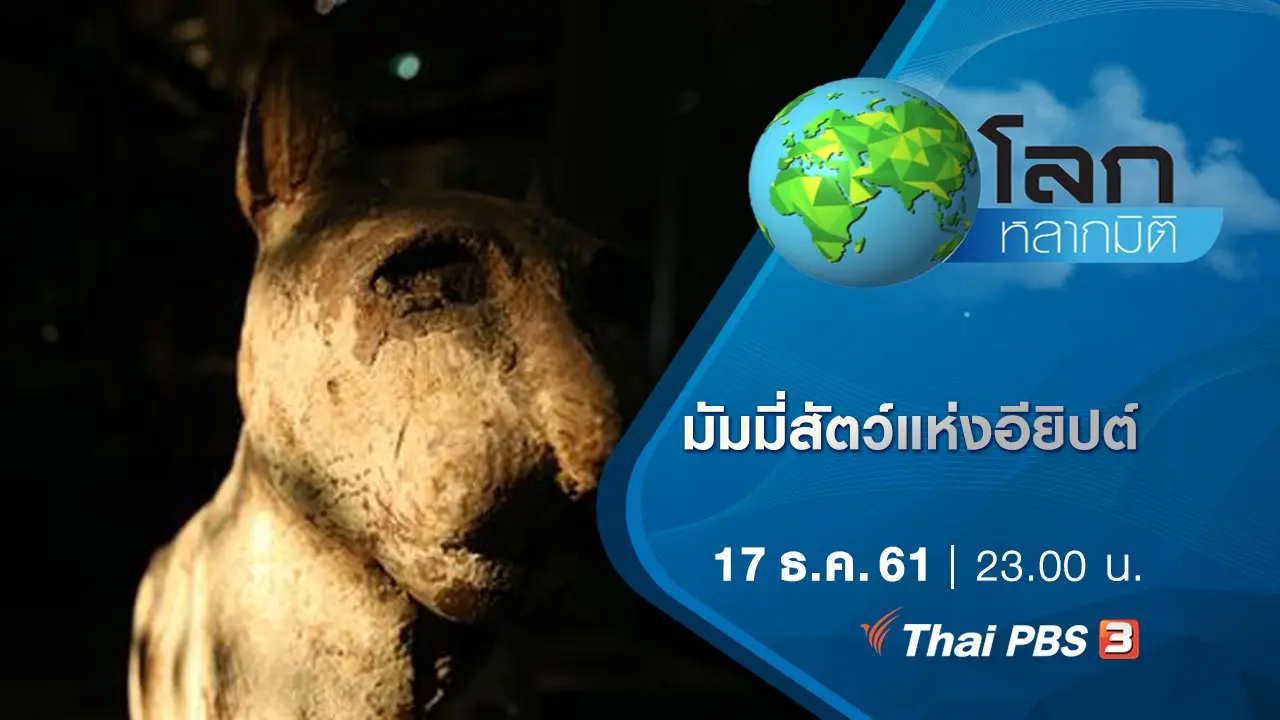 มัมมี่สัตว์แห่งอียิปต์