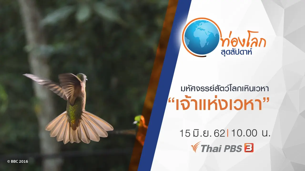 มหัศจรรย์สัตว์โลกเหินเวหา ตอน เจ้าแห่งเวหา
