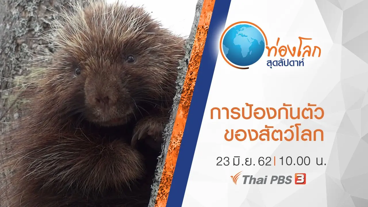 เปิดโลกสัตว์หรรษา ตอน การป้องกันตัวของสัตว์โลก