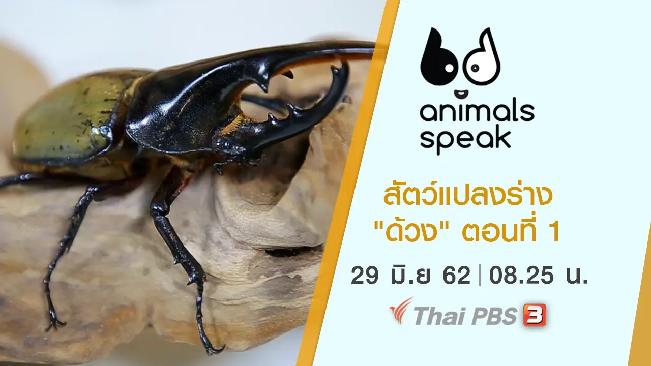 Animals Speak