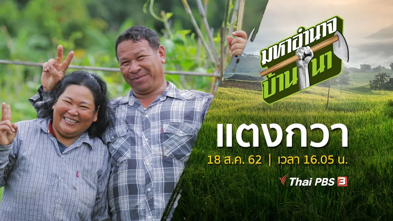 แตงกวา