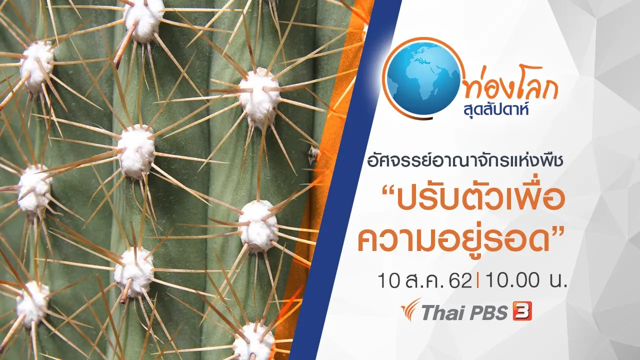 อัศจรรย์อาณาจักรแห่งพืช ตอน ปรับตัวเพื่อความอยู่รอด