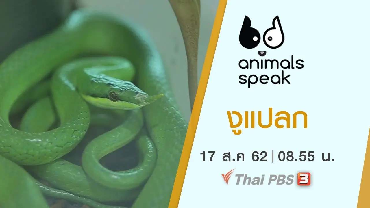 งูแปลก