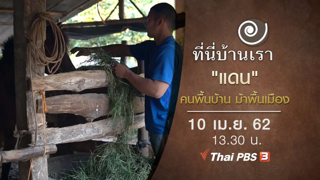 "แดน" คนพื้นบ้าน ม้าพื้นเมือง