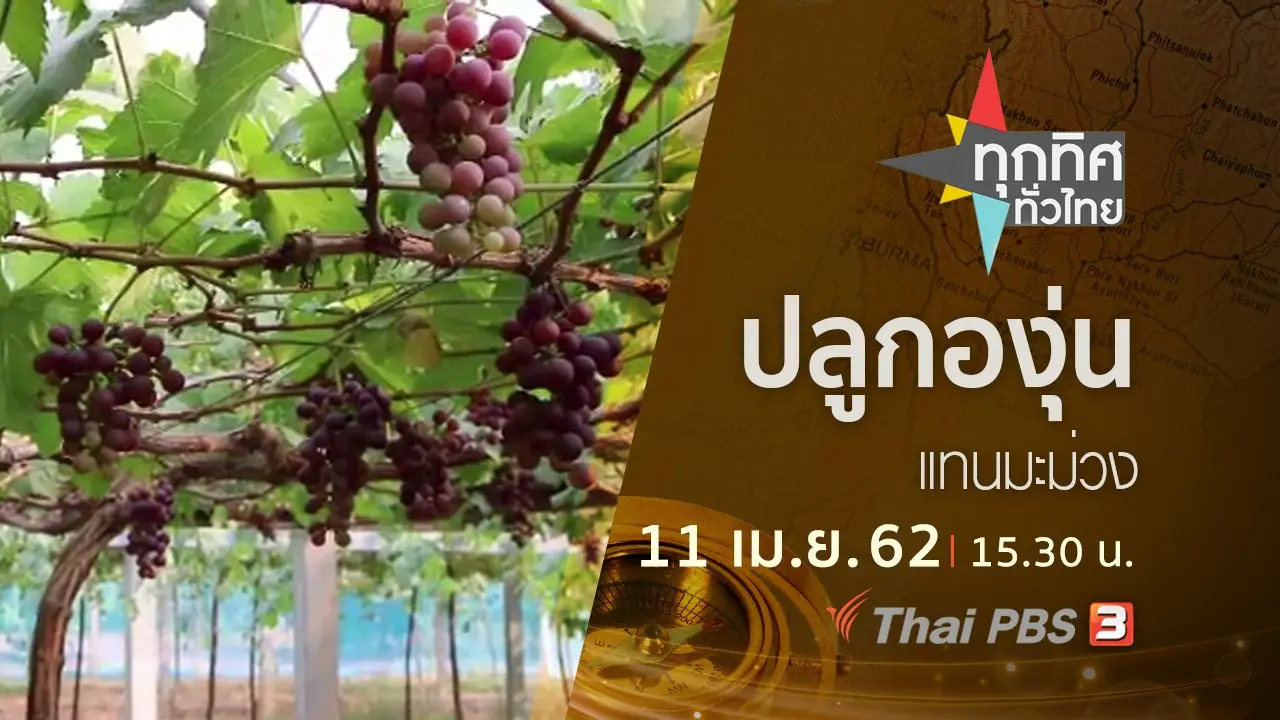 ทุกทิศทั่วไทย