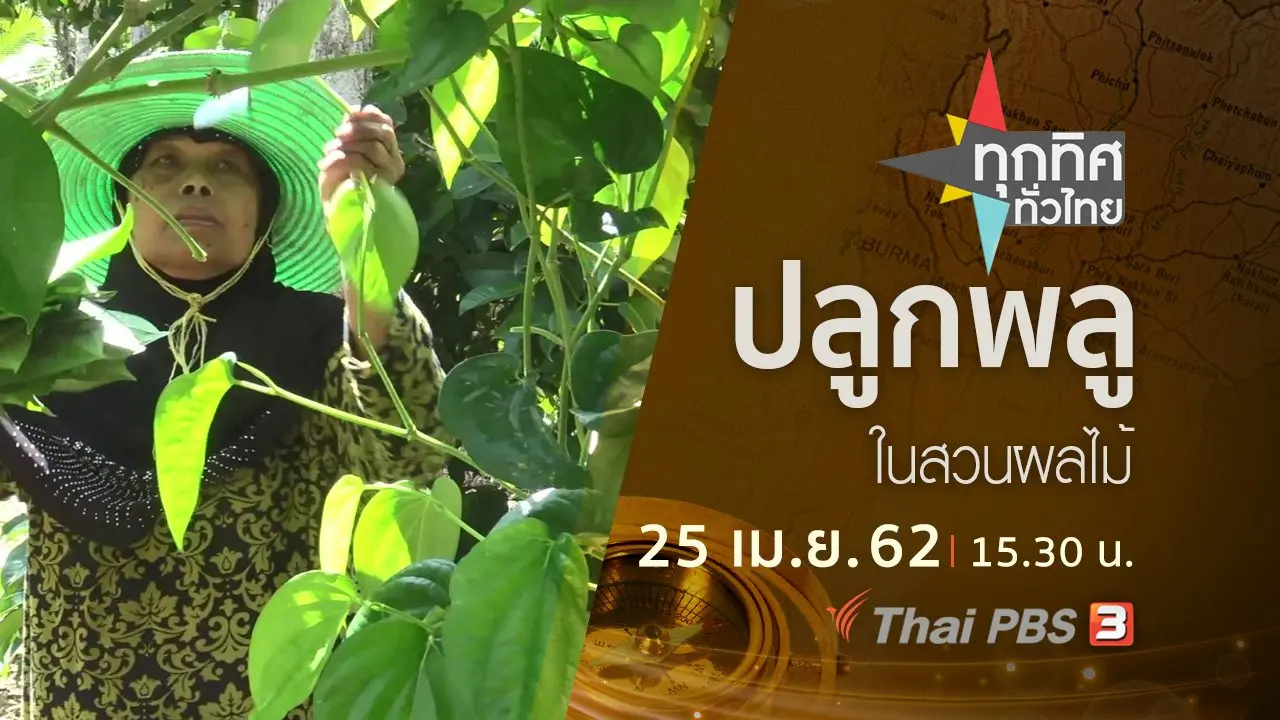 ประเด็นข่าว (25 เม.ย. 62)