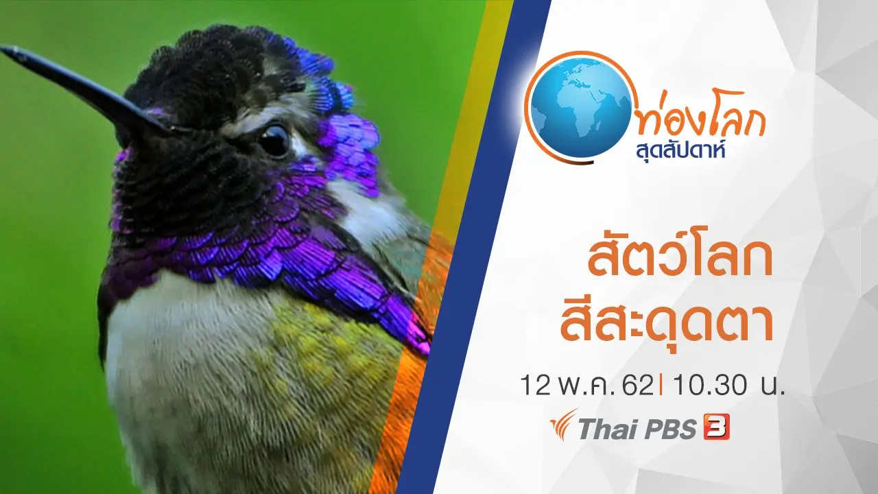 เปิดโลกสัตว์หรรษา ตอน สัตว์โลกสีสะดุดตา
