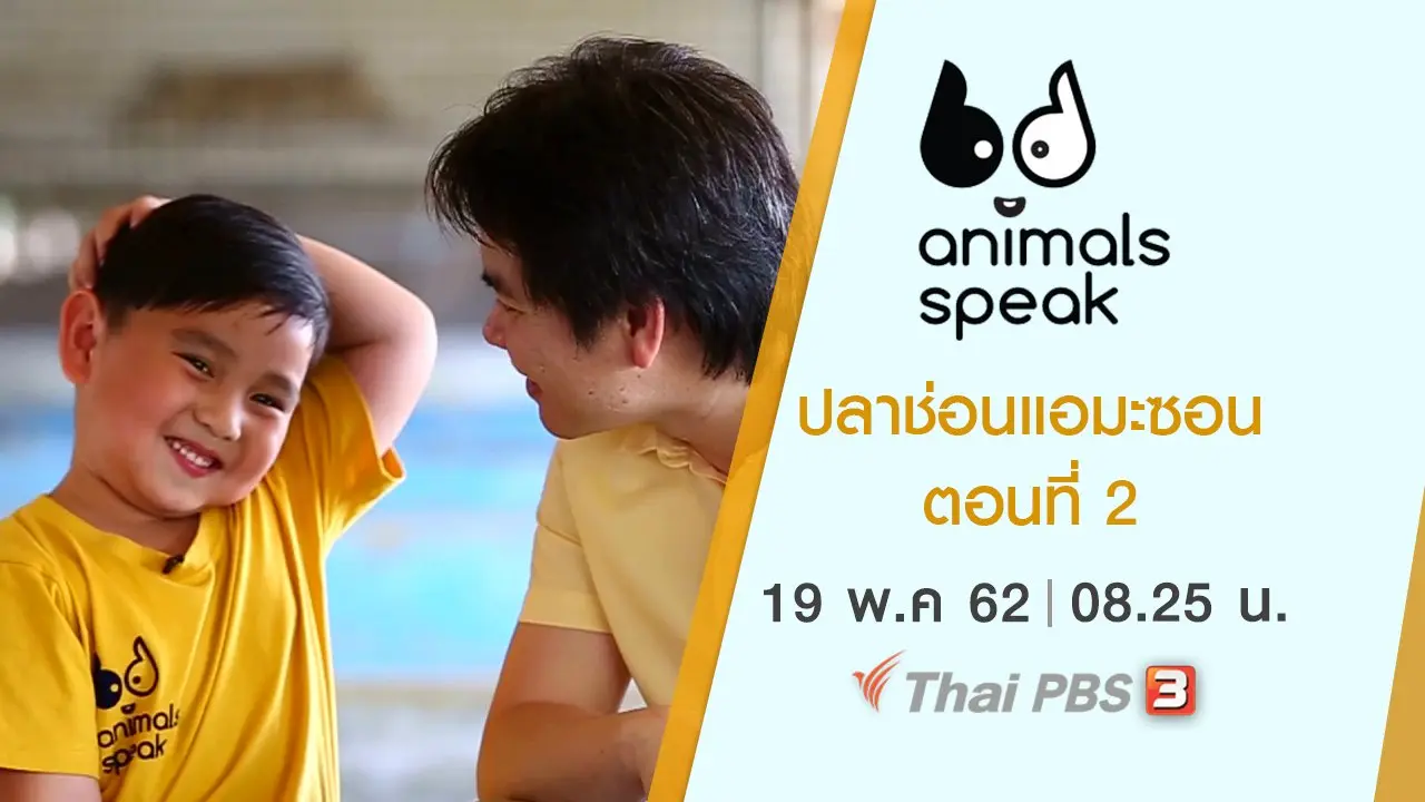ปลาช่อนแอมะซอน ตอนที่ 2