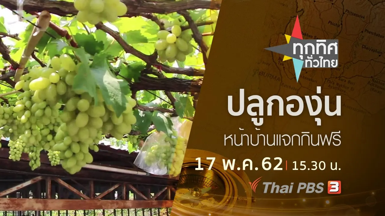 ทุกทิศทั่วไทย