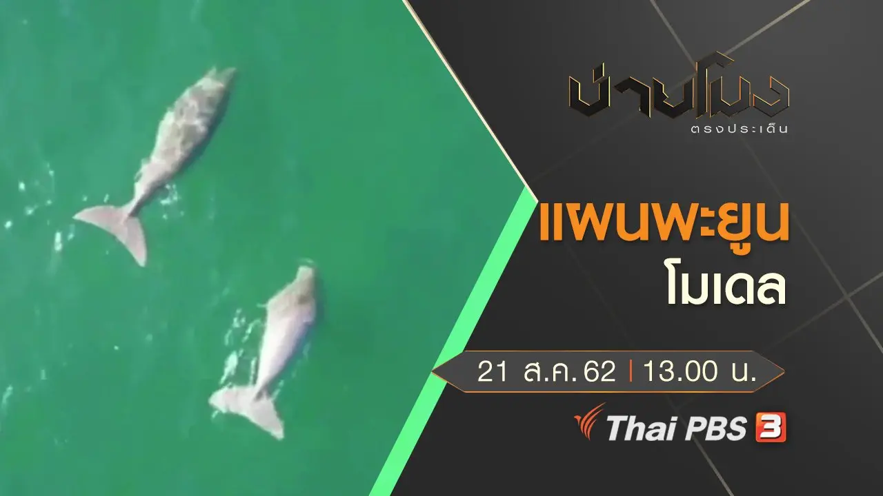 ประเด็นข่าว (21 ส.ค. 62)