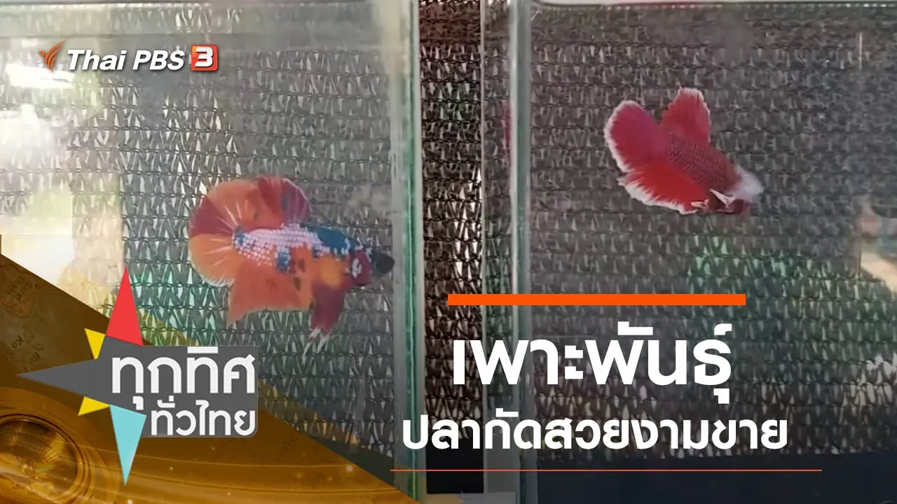 ประเด็นข่าว (12 ก.ย. 62)