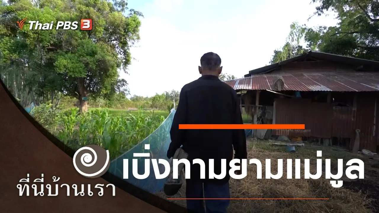 เบิ่งทามยามแม่มูล