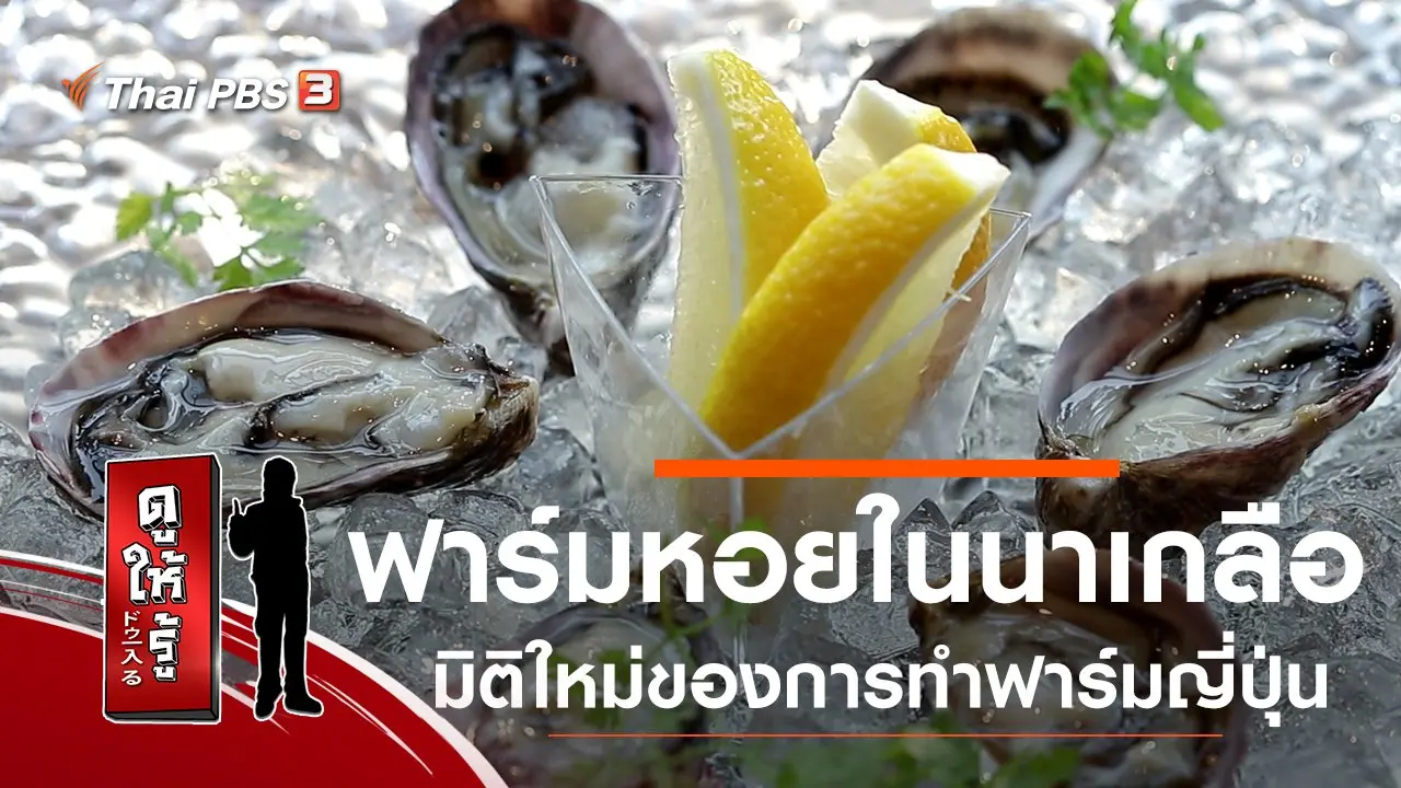 ฟาร์มหอยในนาเกลือ มิติใหม่ของการทำฟาร์มญี่ปุ่น