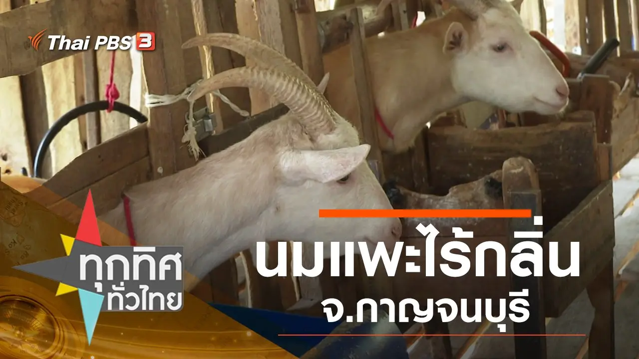 ประเด็นข่าว (15 ม.ค. 63)