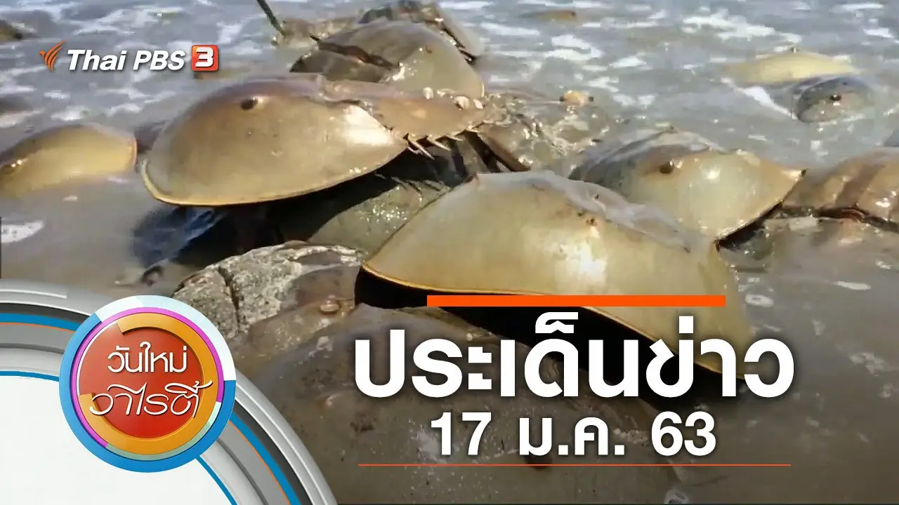 วันใหม่วาไรตี้