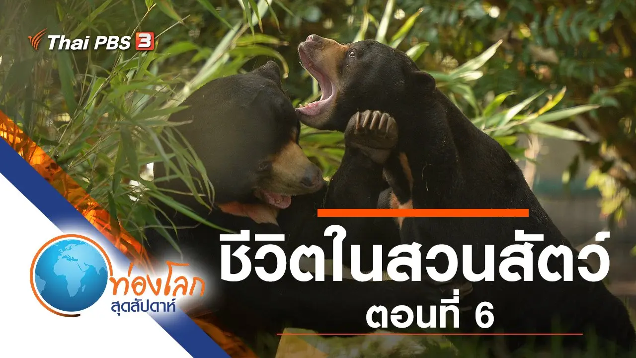 ชีวิตในสวนสัตว์ ตอนที่ 6