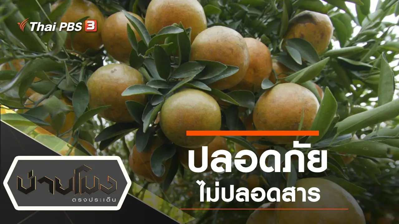 ประเด็นข่าว (24 ม.ค. 63)