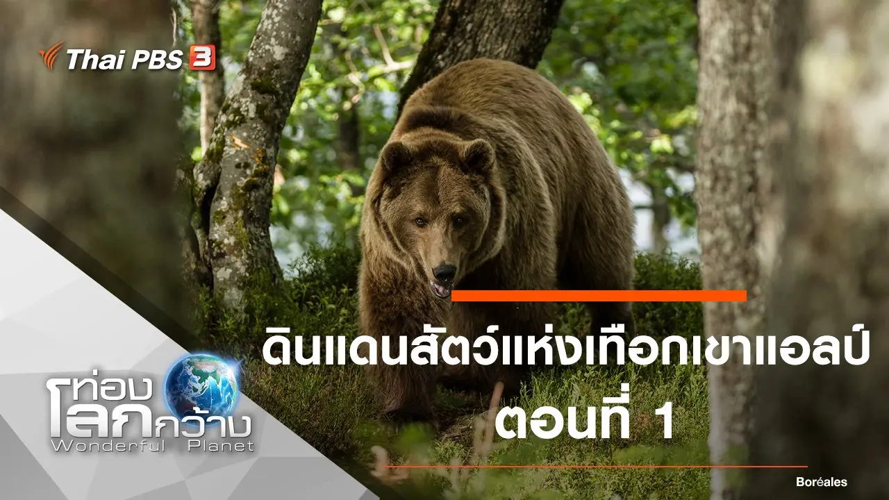 ดินแดนสัตว์แห่งเทือกเขาแอลป์ ตอนที่ 1