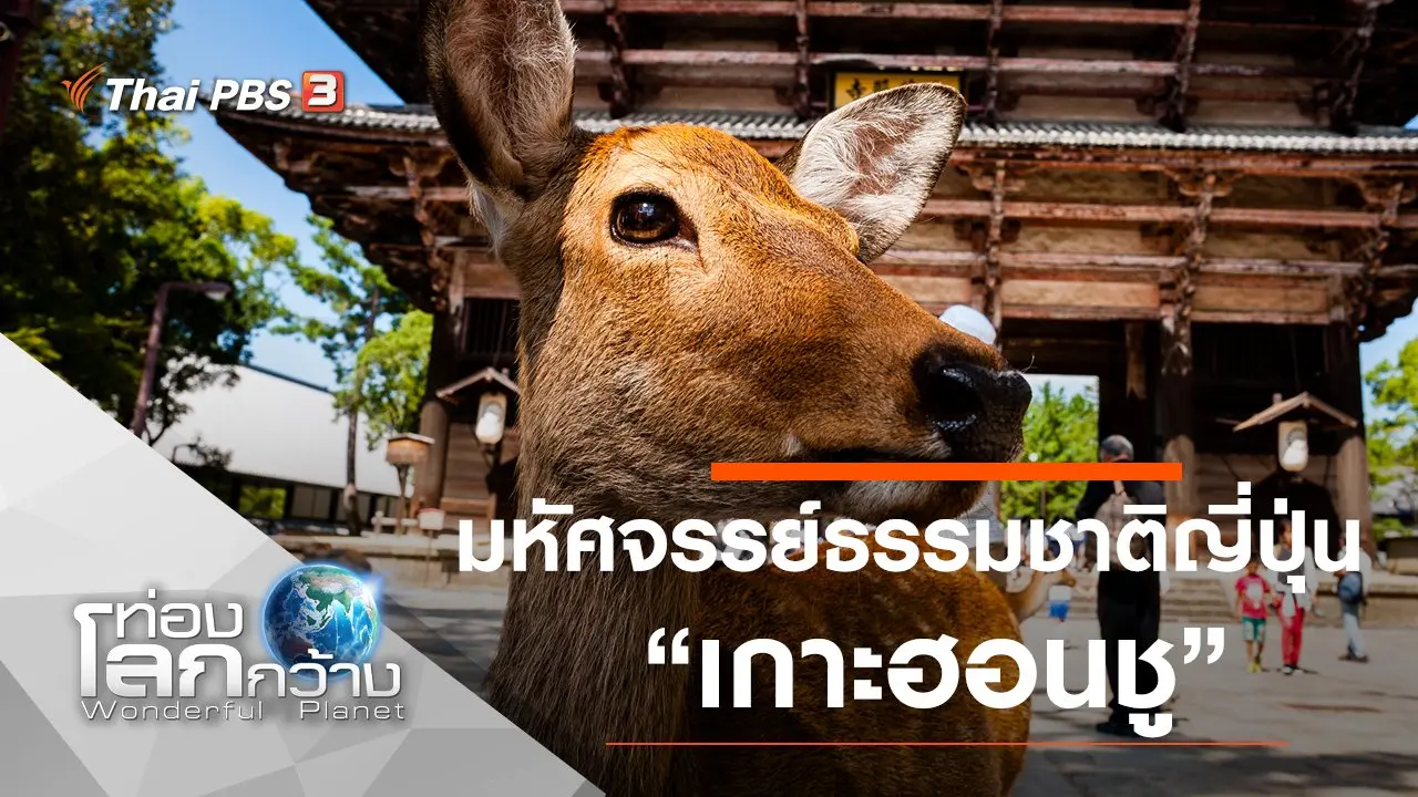 มหัศจรรย์ธรรมชาติญี่ปุ่น ตอน เกาะฮอนชู