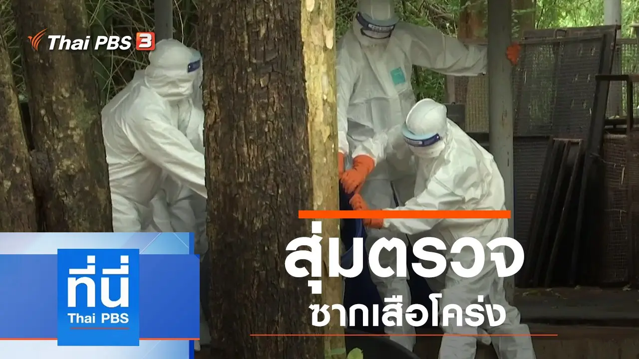 ประเด็นข่าว (20 ก.ย. 62)